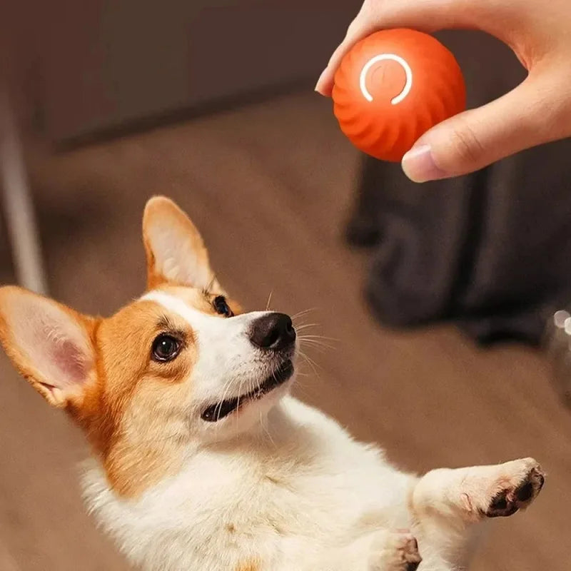 Dog Automatic Moving Ball Interactive Chew Toy Puppies