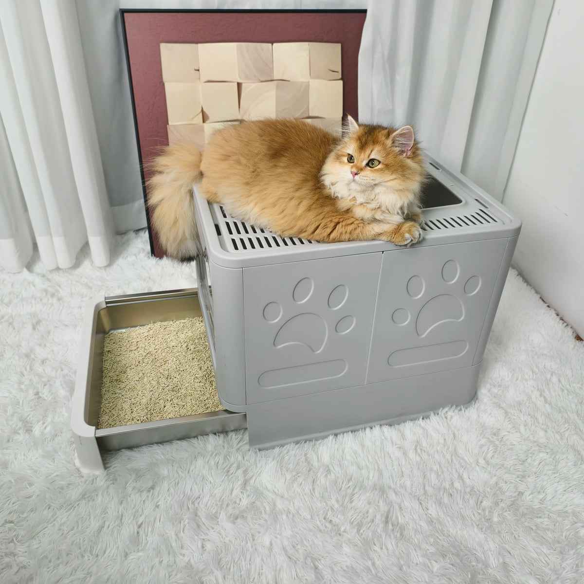 Large Front Entry Top Exit Cat Litter Box With Lid And Scoop