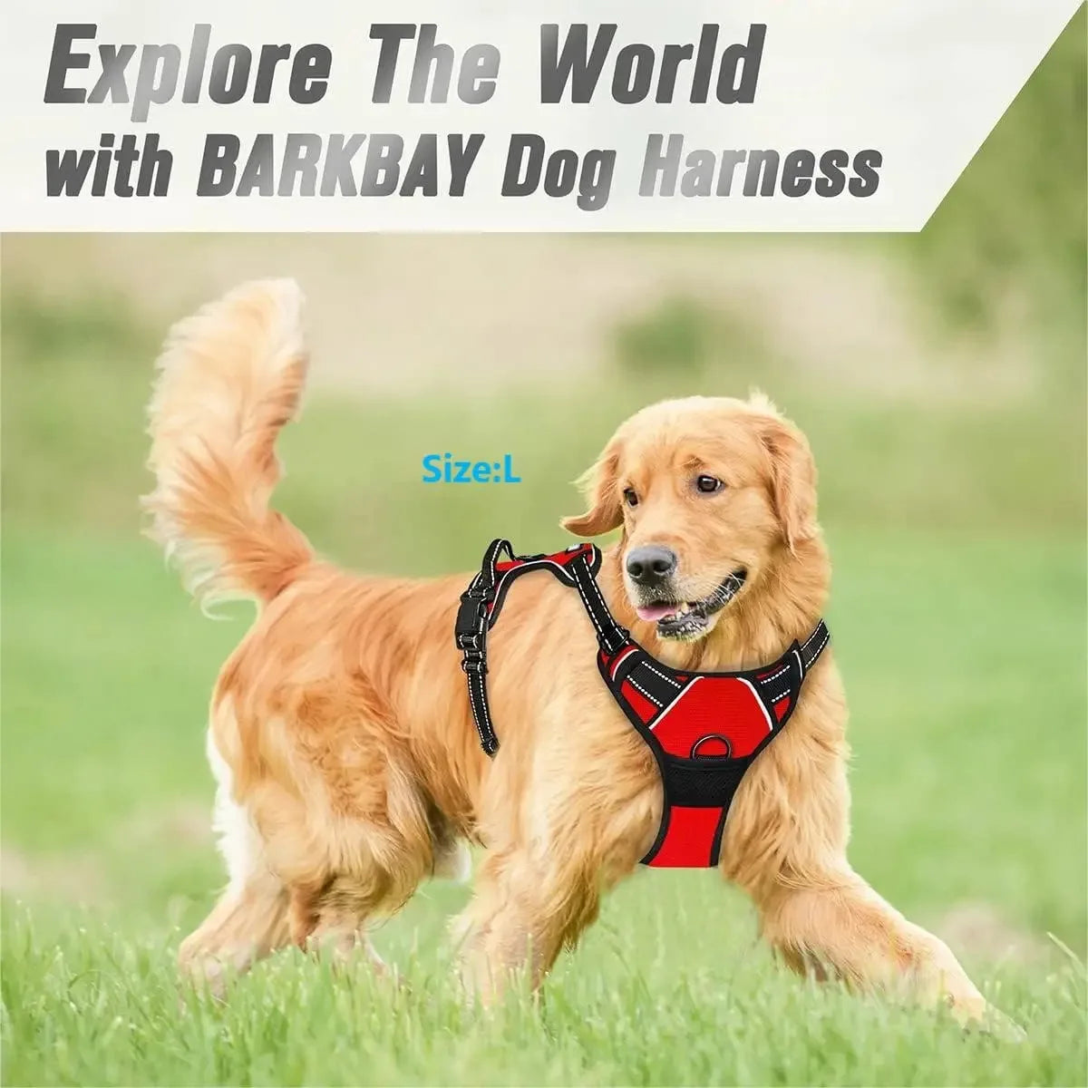 Dog Harness Leash Set For All Breeds Collars Vests Accessories