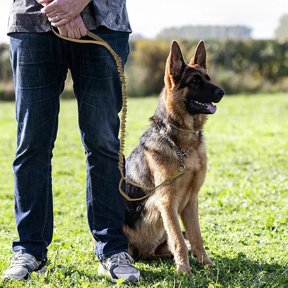 Military Style Tactical Dog Leash With Adjustable Elastic Rope