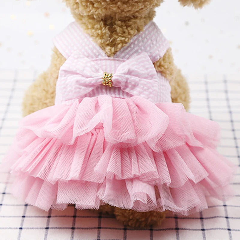 Miss Doggy Summer Lace Dress Striped Pet Clothing For Dogs