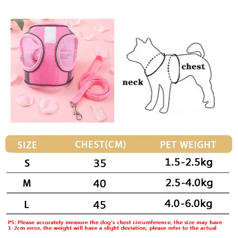 Breathable Cat Harness Set Butterfly Design With Leash
