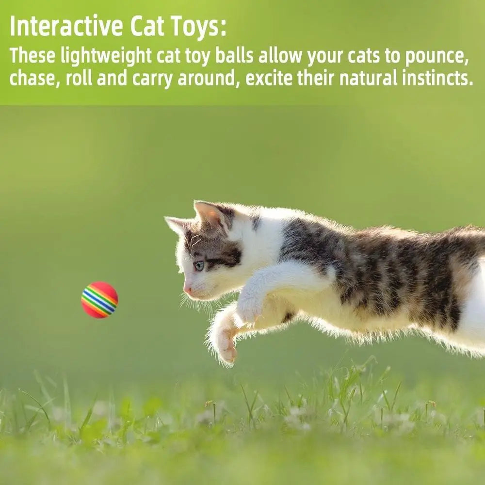 Premium Soft Interactive Pet Soccer Balls For Cats And Dogs