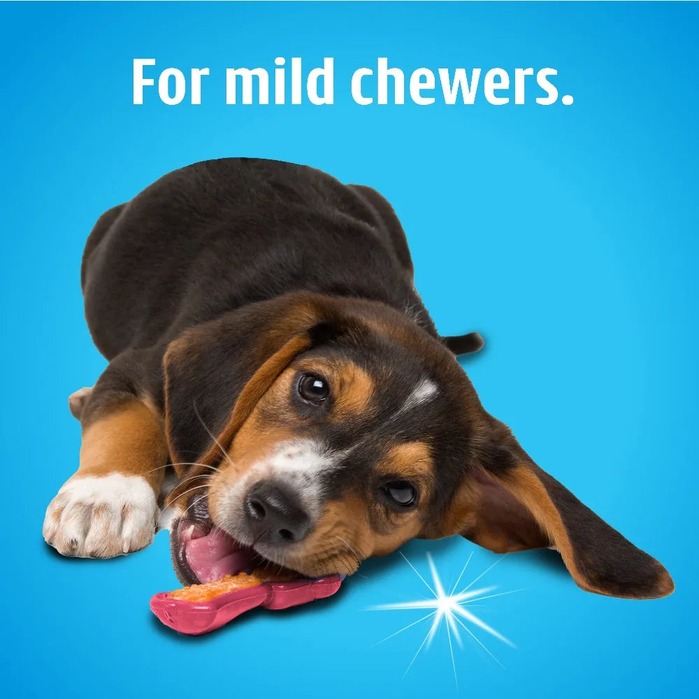 Nylon Dog Chew Toy For Aggressive Chewers Dental Health