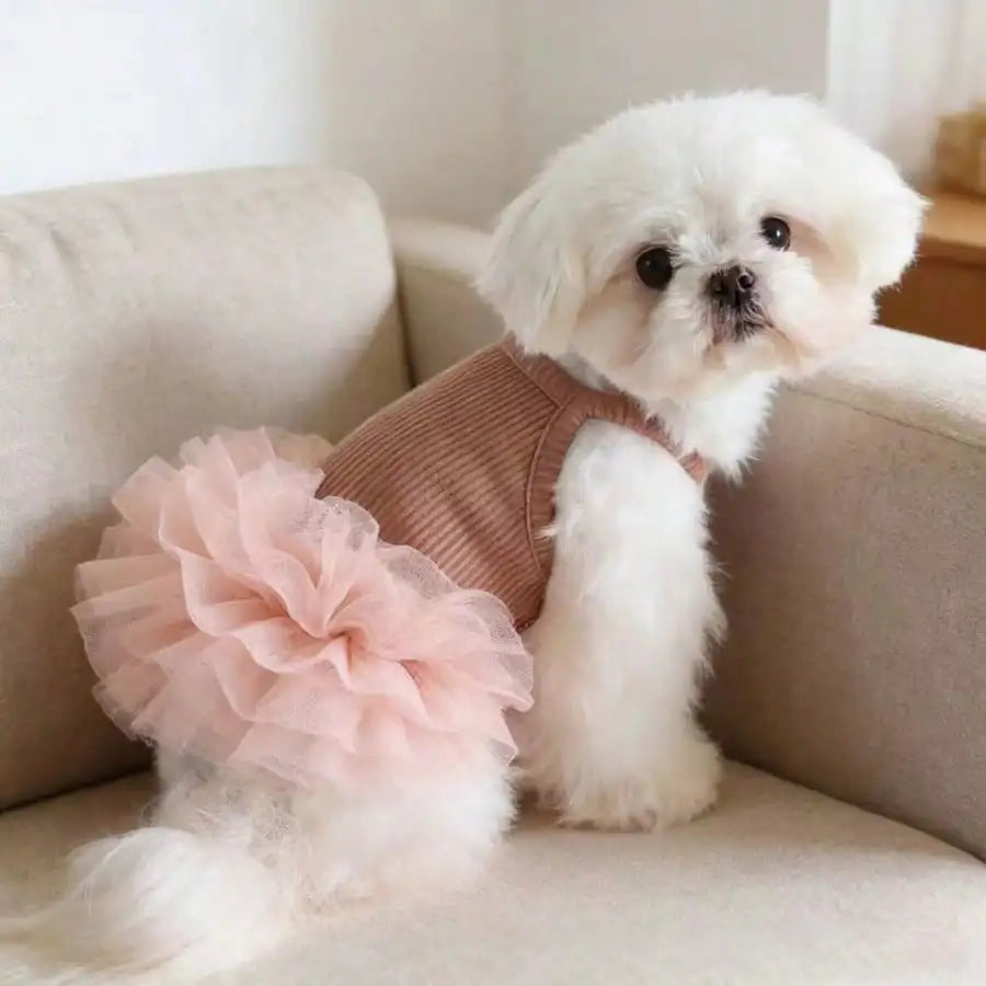 Elegant Ballet Tulle Dress For Dogs Sleeveless Princess Party Outfit