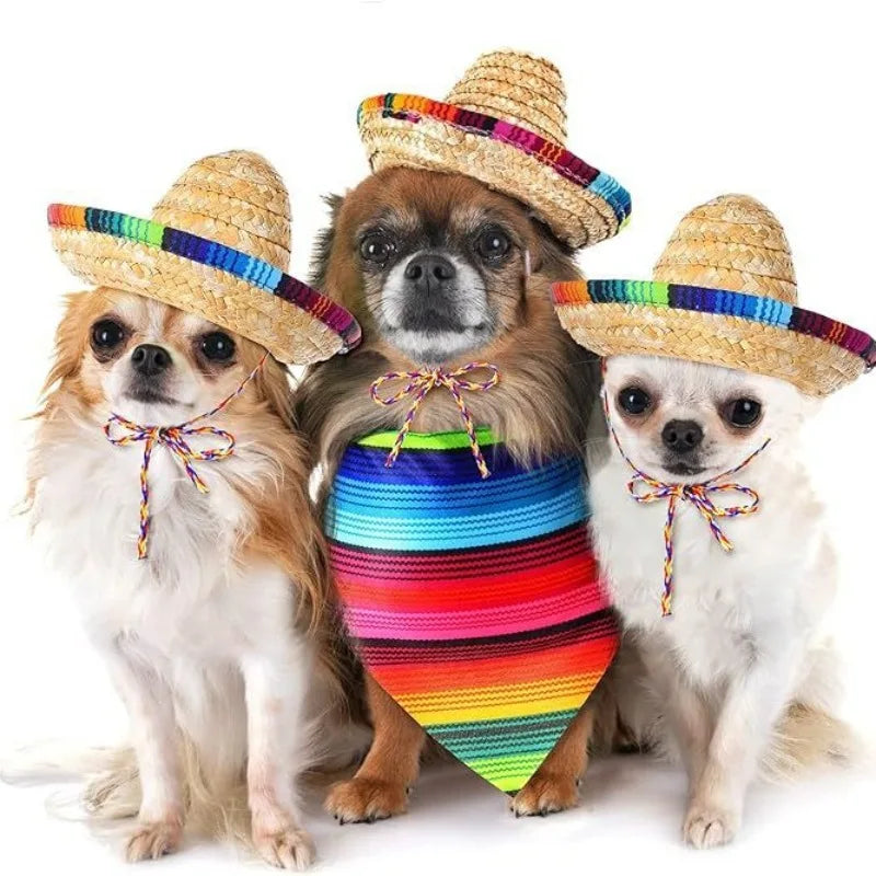 Breathable Straw Sombrero Bandana Set For Small Dogs And Cats