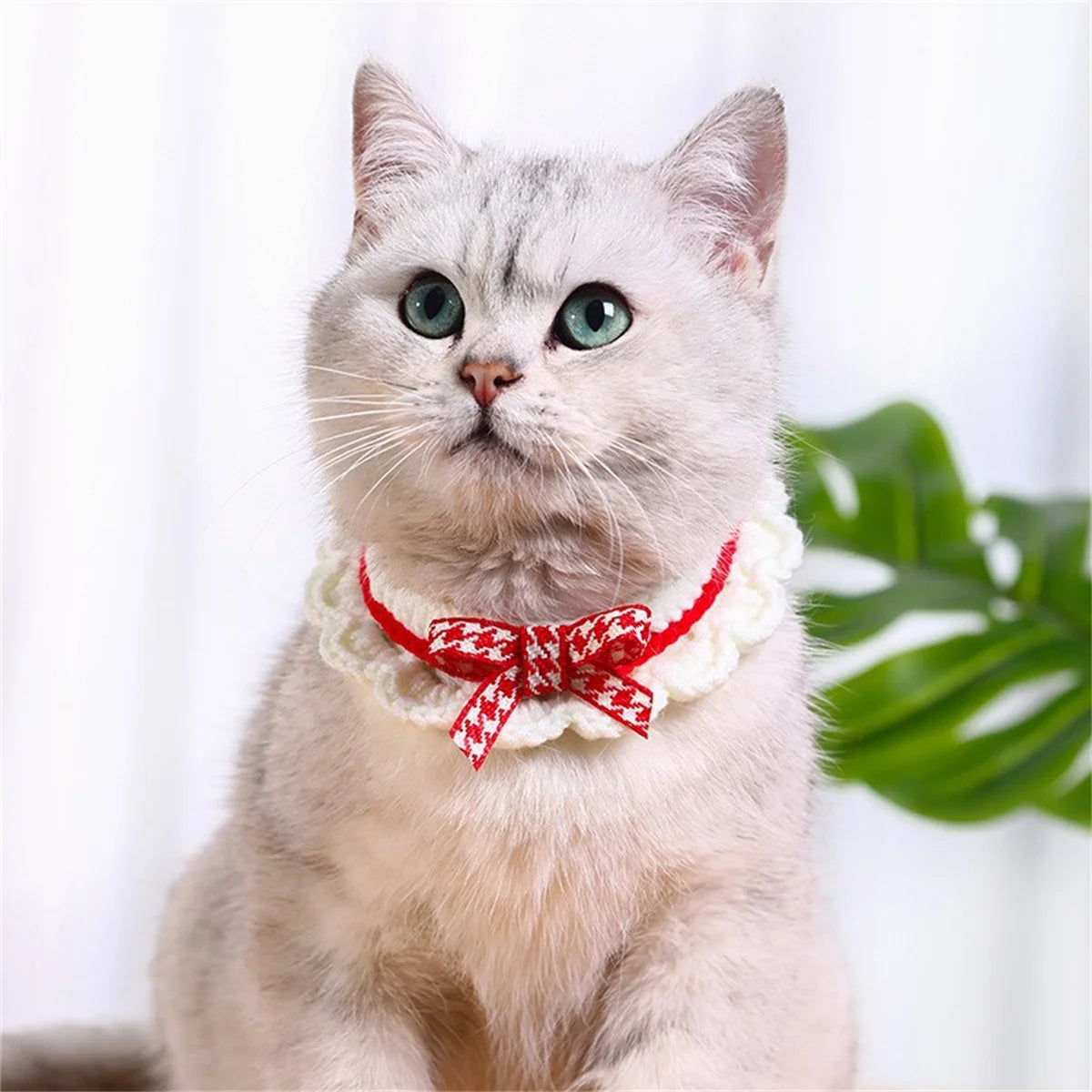 Cute Bow Knot Hand Knitted Pet Collar For Dogs Cats