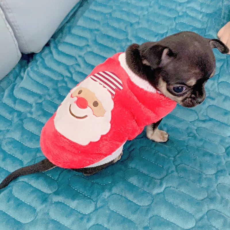 Cute Print Tea Cup Dog Sweater Winter Warm Fleece Clothing