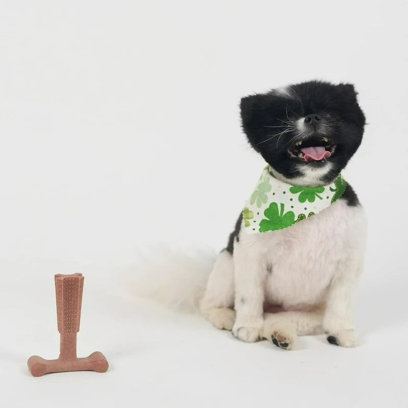 T Bone Dog Chew Toy for Moderate to Aggressive Chewers