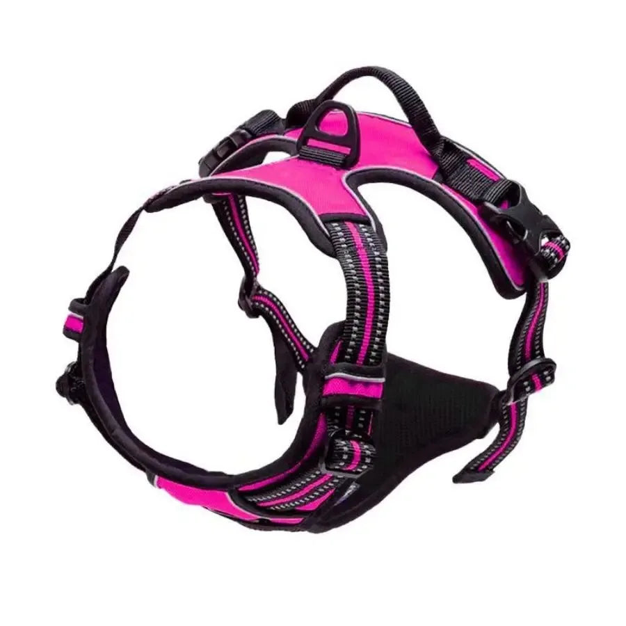Dog Harness Leash Set For All Breeds Collars Vests Accessories
