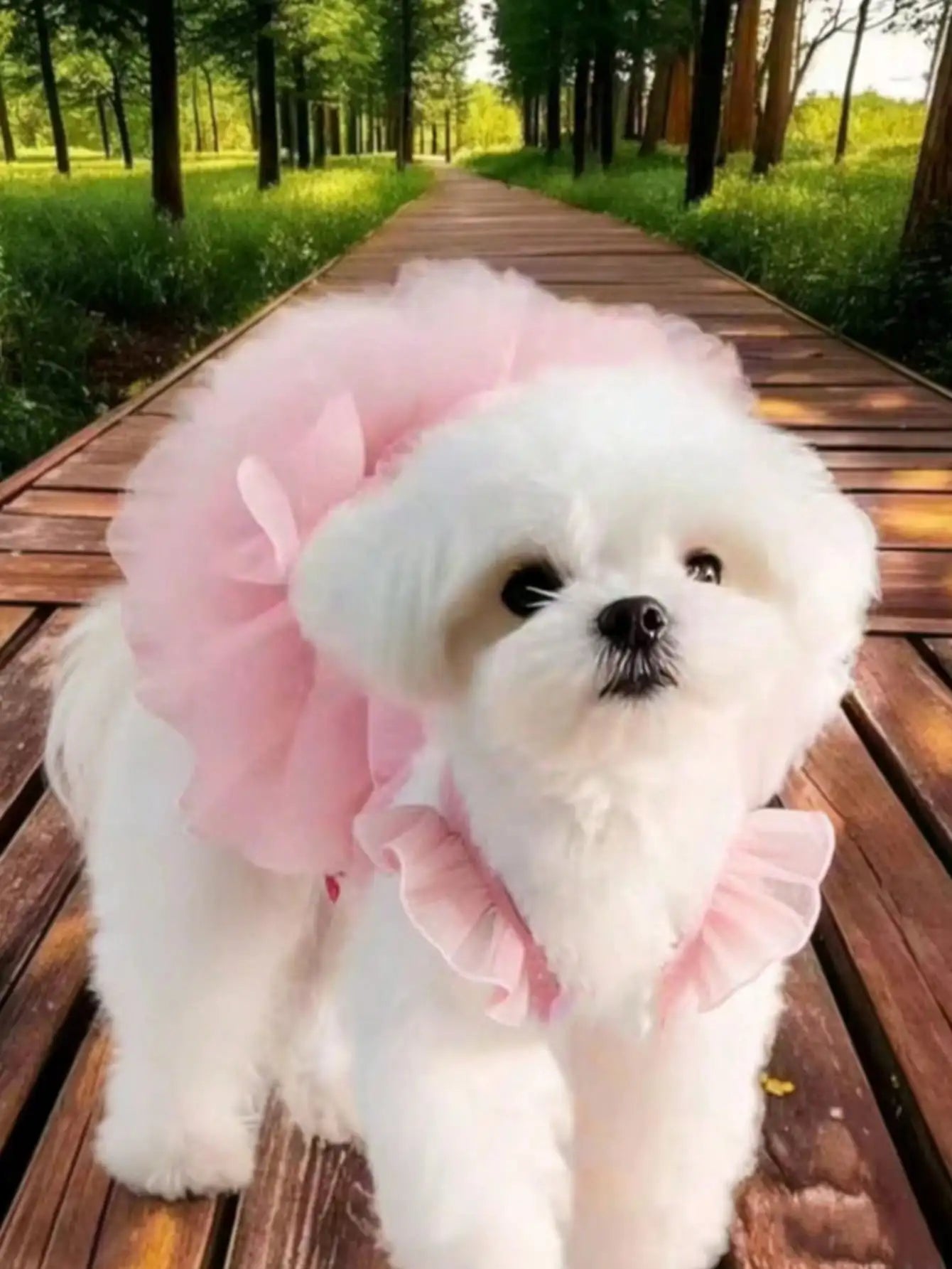 Elegant Ruffled Sleeve Princess Dress For Small Dogs And Cats