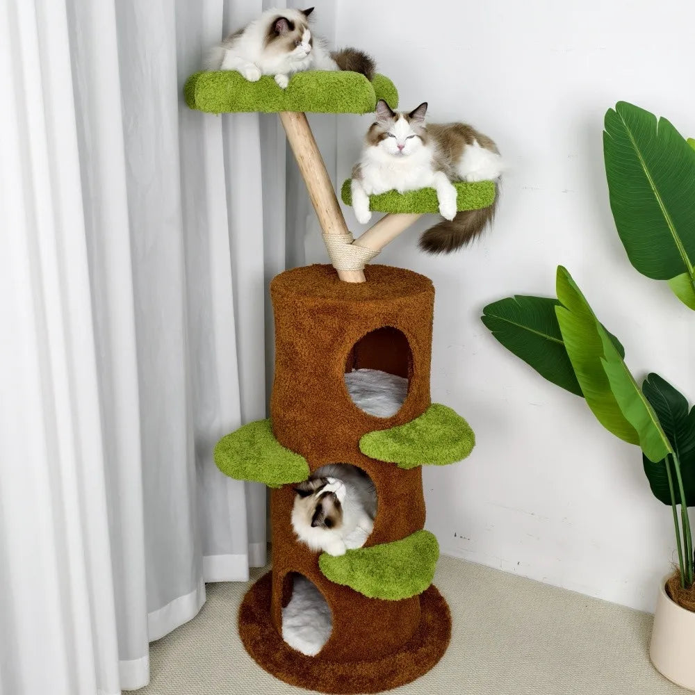BORWART Luxury Wood Cat Tree Tower With Condo Bed And Scratching Post