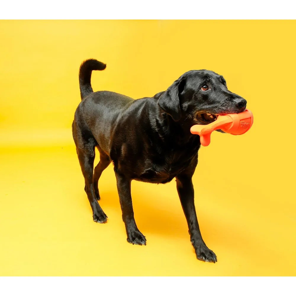 Hartz Dura Play Bacon Scented Latex Rocket Dog Toy