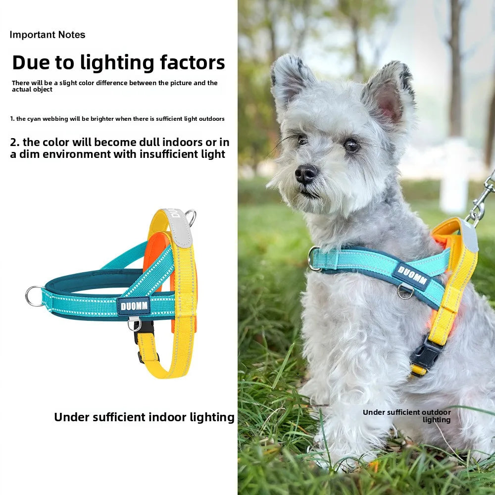 Dog Harness Leash Set For Pets Outdoor Adjustable Comfort