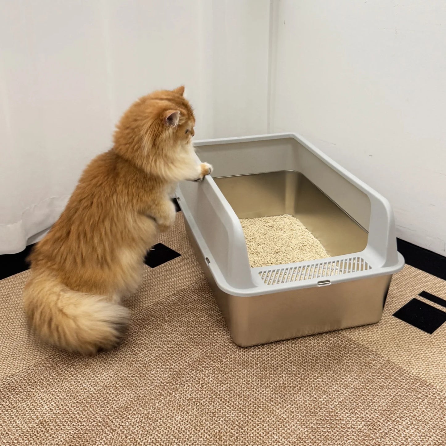 Stainless Steel Large High-Sided Cat Litter Box With Spoon