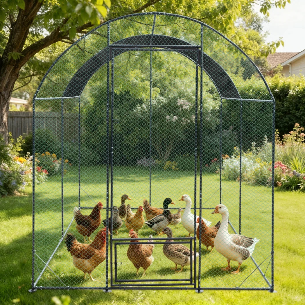 BORWART Chicken Coop Cage Outdoor Walk-In Run Pen With Netting