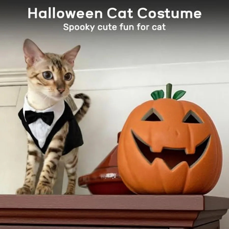 Cat Tuxedo Bow Tie Costume For Cats Soft Skin Friendly Outfit
