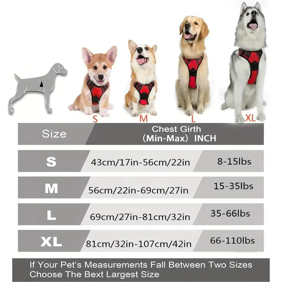 Dog Harness Leash Set For All Breeds Collars Vests Accessories